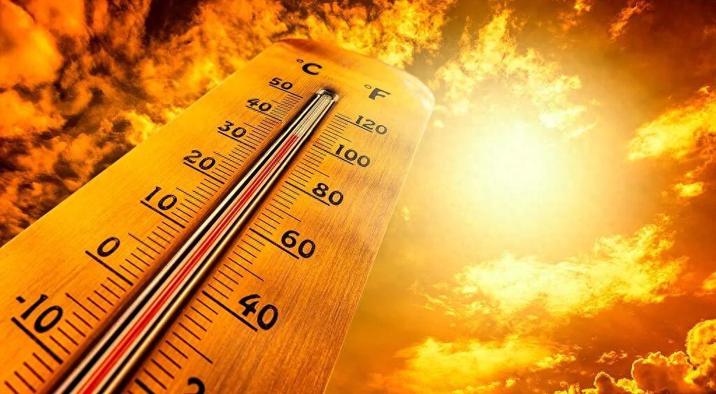44℃烤焦欧洲：5天40人溺亡，法国破78年纪录，更可怕的还在后面

法国气象局