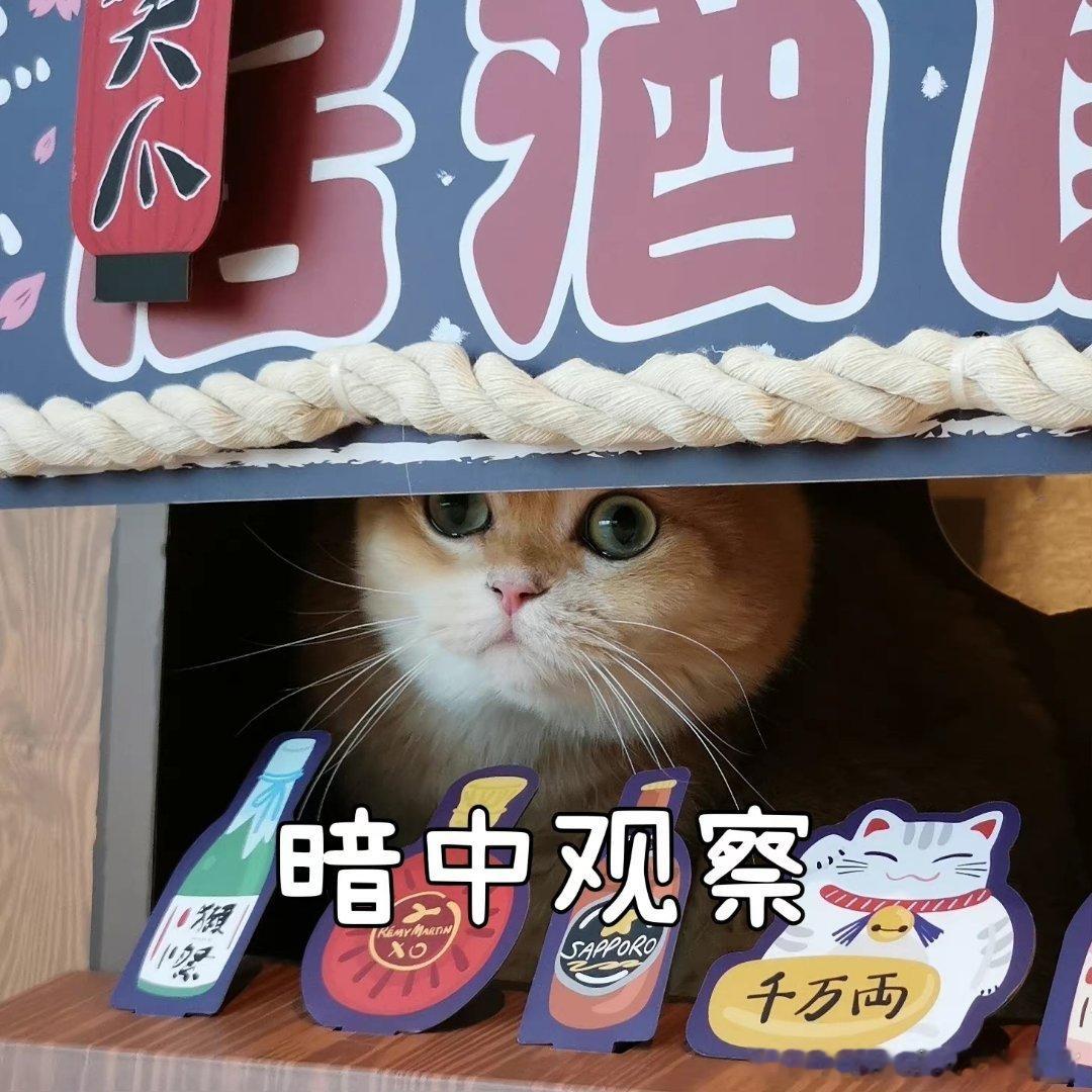 一代人有一代人的冰火两重天父辈年轻时寒冬靠厚衣取暖，炎夏摇扇度日，日子朴素却安稳