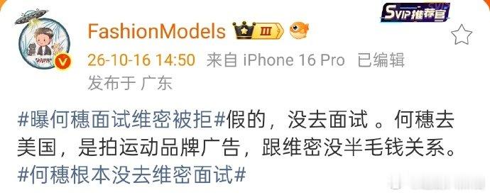 何穗没去维密面试 曝何穗面试维密被拒，时尚博主辟谣了：没去面试，去美国是拍广告，