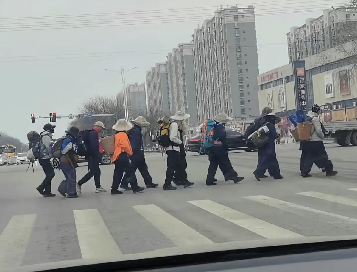 刚看到有个网友，说开车等红灯的时候，就看到了这样一群人，打扮装束有点奇怪，带太阳