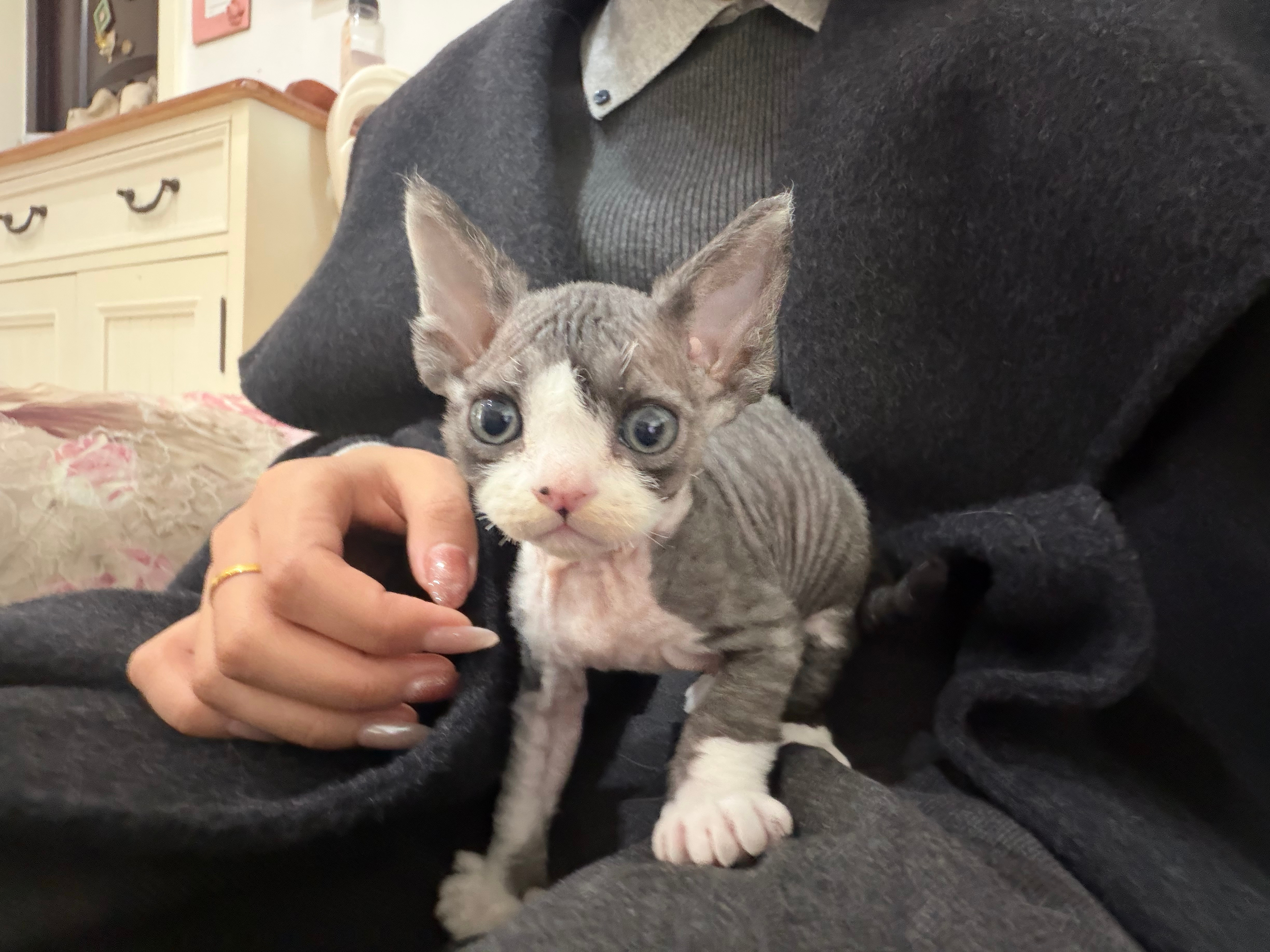 精灵古怪！ ​​​