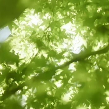 少年气，是历经千帆举重若轻的沉淀，也是乐观淡然笑对生活的豁达。看得见多远的过去，
