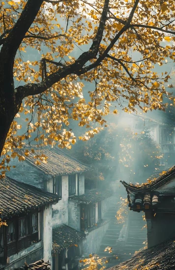 说实话，这类故事在平台上转了不知道多少轮，每次都能刷到一堆人感动得不行，说"有个