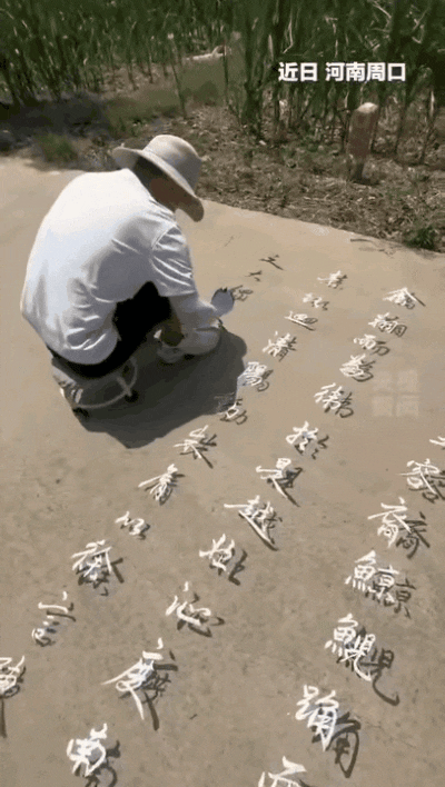 大热天的，别人都在屋里吹空调续命，河南周口这位大哥倒好，搬个小板凳，拎着笔和墨，