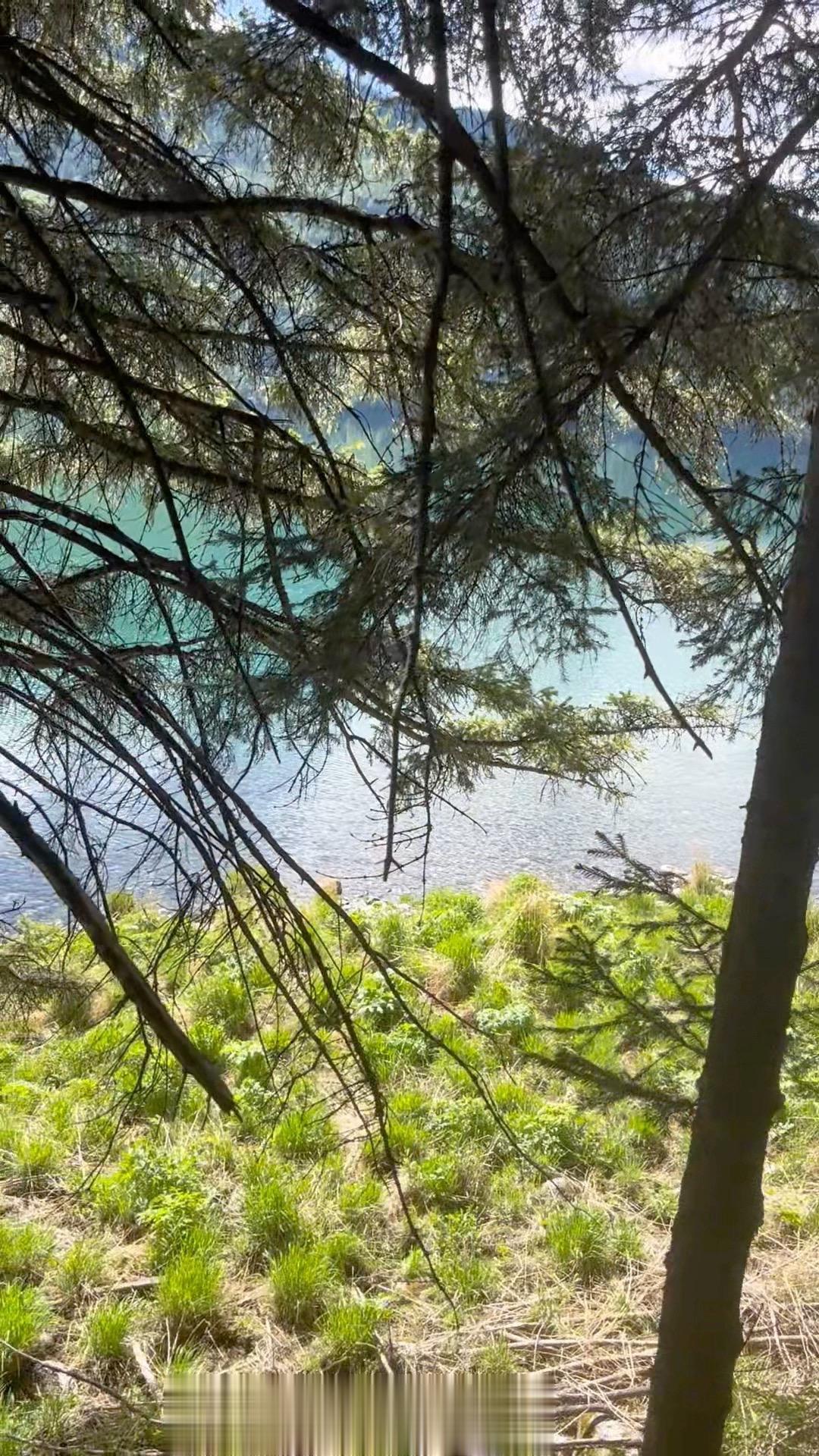 00后如果想要混得好 必须牢记以下的卓越人生策略  非线性成长策略，保...