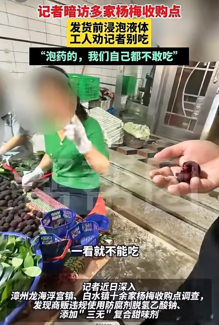“泡药的，我们自己都不敢吃！”

网传：记者暗访漳州龙海浮宫镇、白水镇十余家杨梅