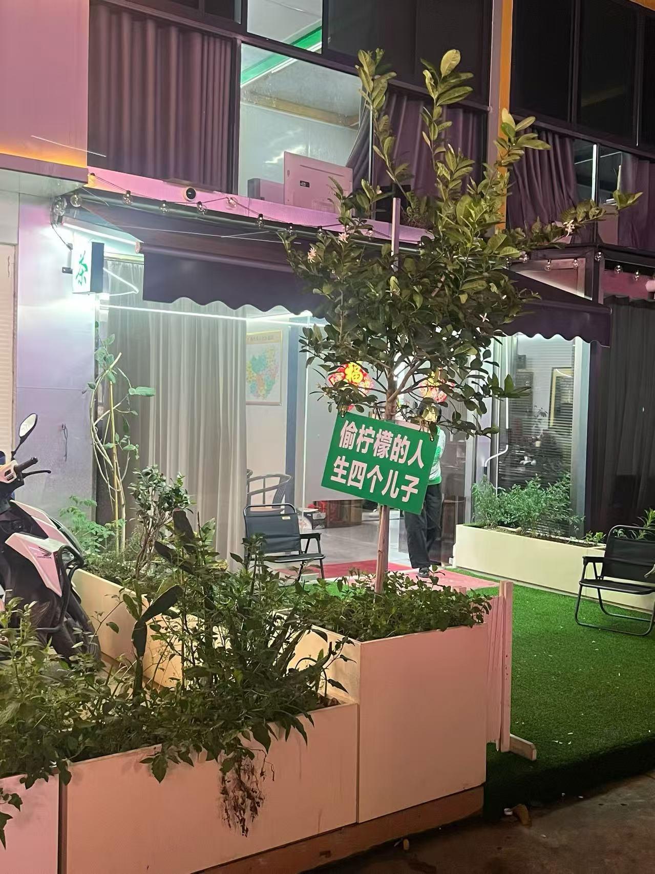 看见下面这张照片，会不会“激发”别人去摘他家的柠檬？🍋🍋哈哈哈

图片来自网