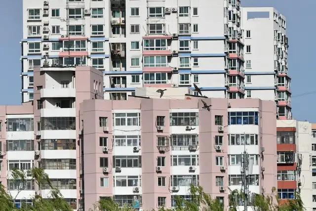 河南28岁女教师新婚当天跳楼身亡：被催婚压垮的生命

2025年12月10日，本