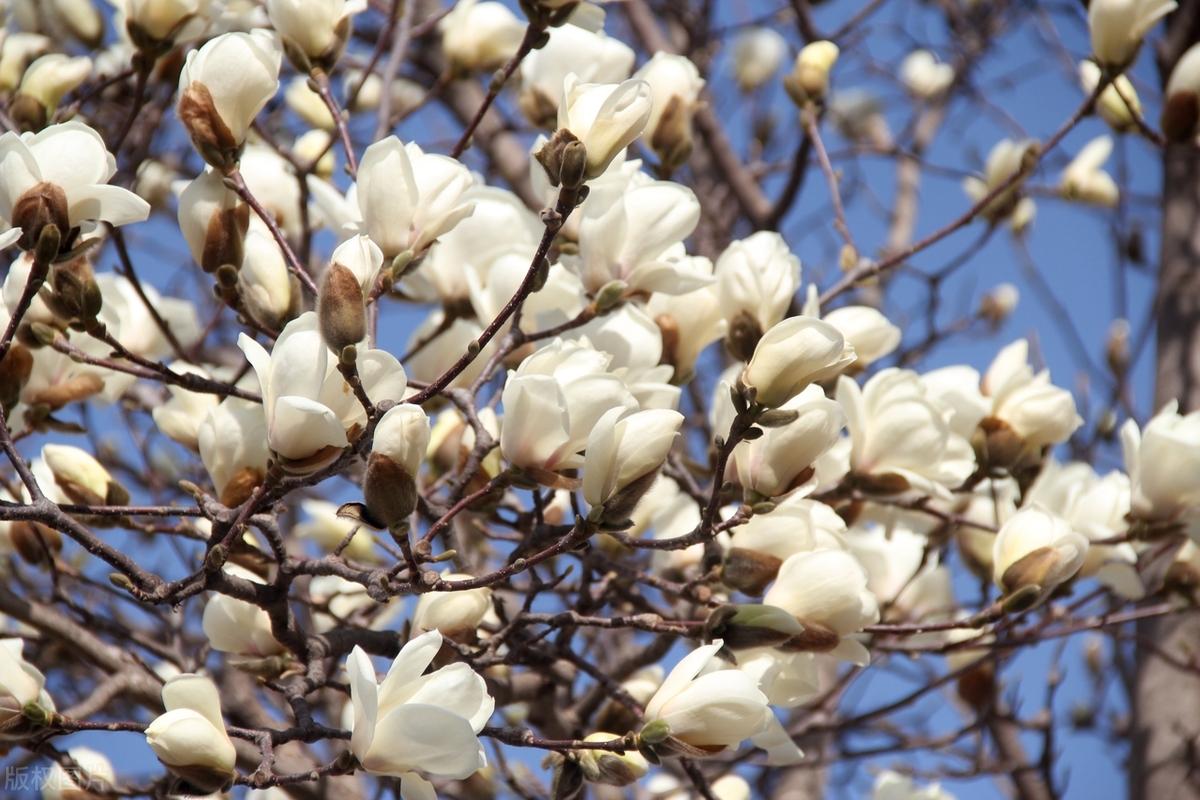你会渐渐发现，即使读同样的书，走同样的路，遇同样的人，受同样的教育，呼吸同样的空