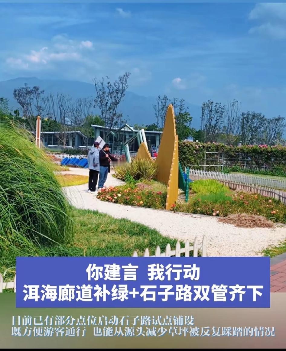 📍你建言，我行动！洱海廊道补绿与铺设石子路双管齐下！哇哦，大理洱海廊道这波“补