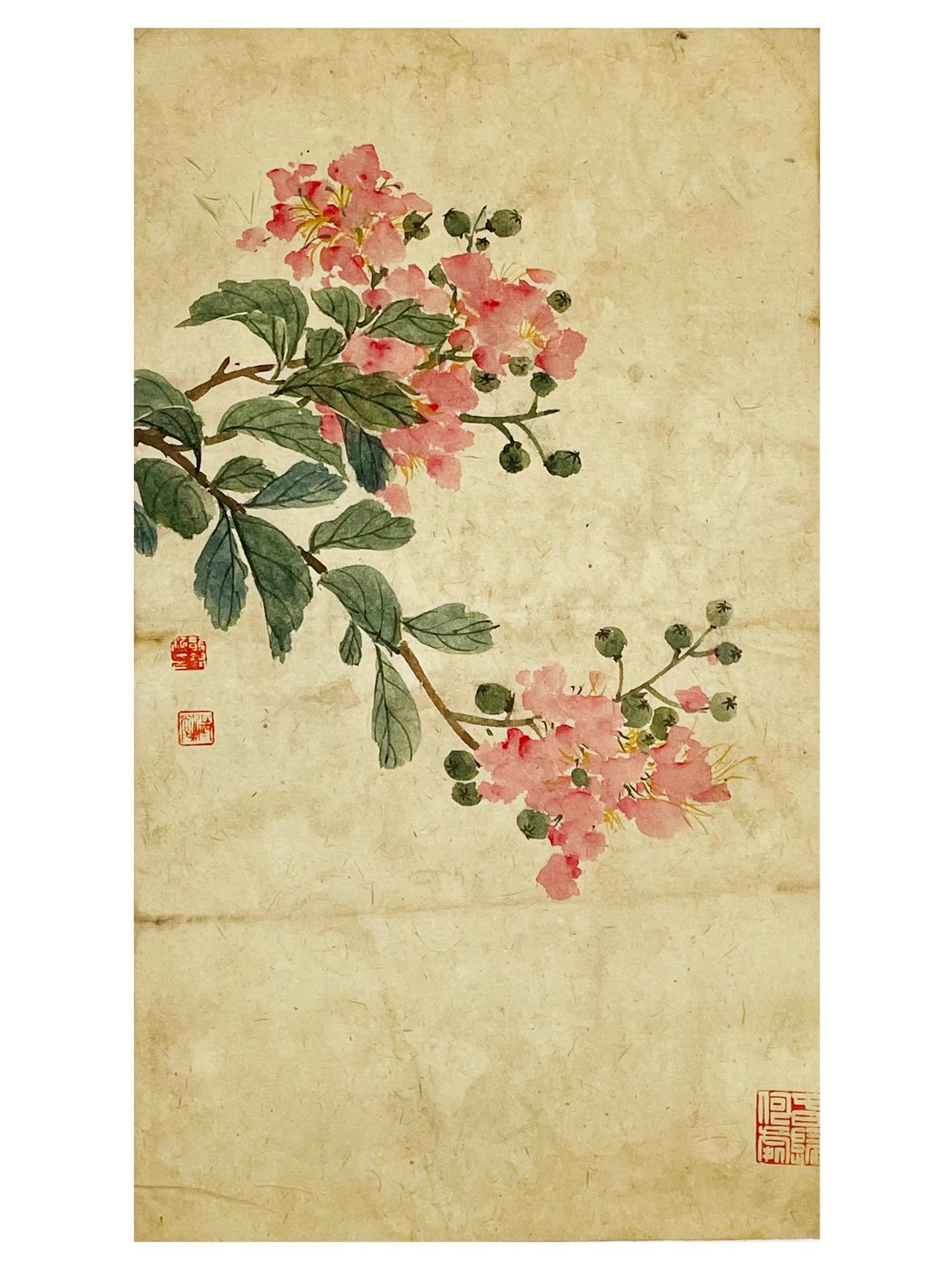 写意花卉，小卡画心[微笑]