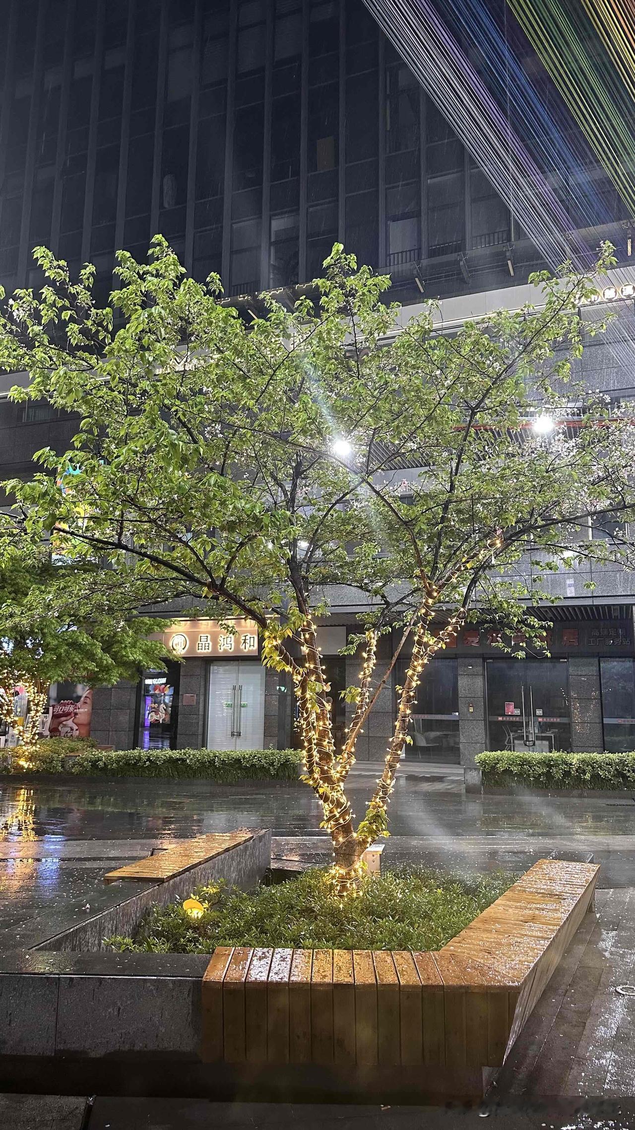 台北人在苏州，昨晚窗外又下起雨了，我好喜欢下雨天。不知道为何，总觉得雨天有种神奇