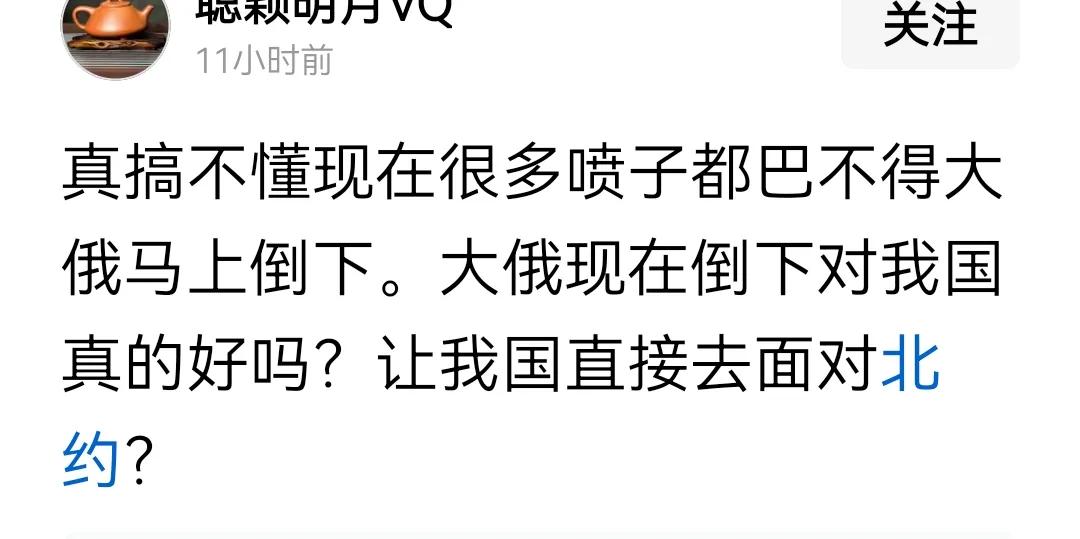 相当多国人都在担忧，如果俄罗斯倒了，中国将不得不面对北约。俄罗斯敢于面对北约，咱