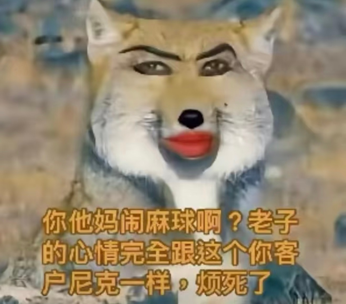 明天我一定要回红…… ​​​