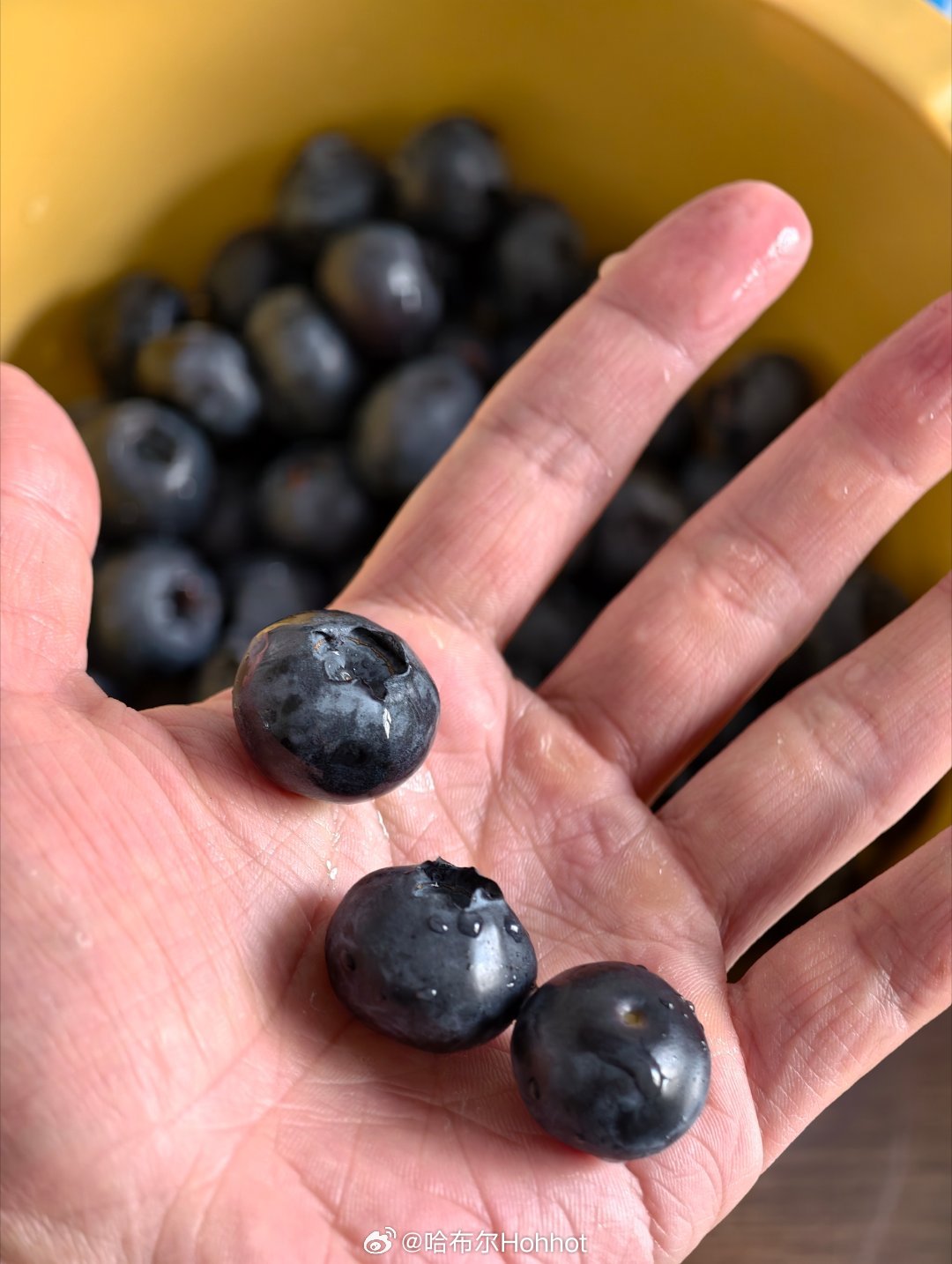 谢谢🐴叔家乡的蓝莓哈布尔的随行拍你不知道的田径故事