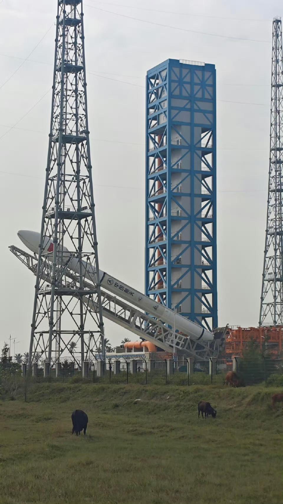 放着牛牛，看着火箭！"海南文昌"航天发射场基地，距离发射塔架不远处牛群遍布！
