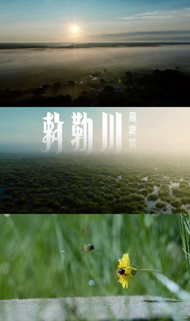 人果然要待在没有天花板的地方高楼划定了视野，旷野拓宽了心境。看完敕勒川草原短片狠