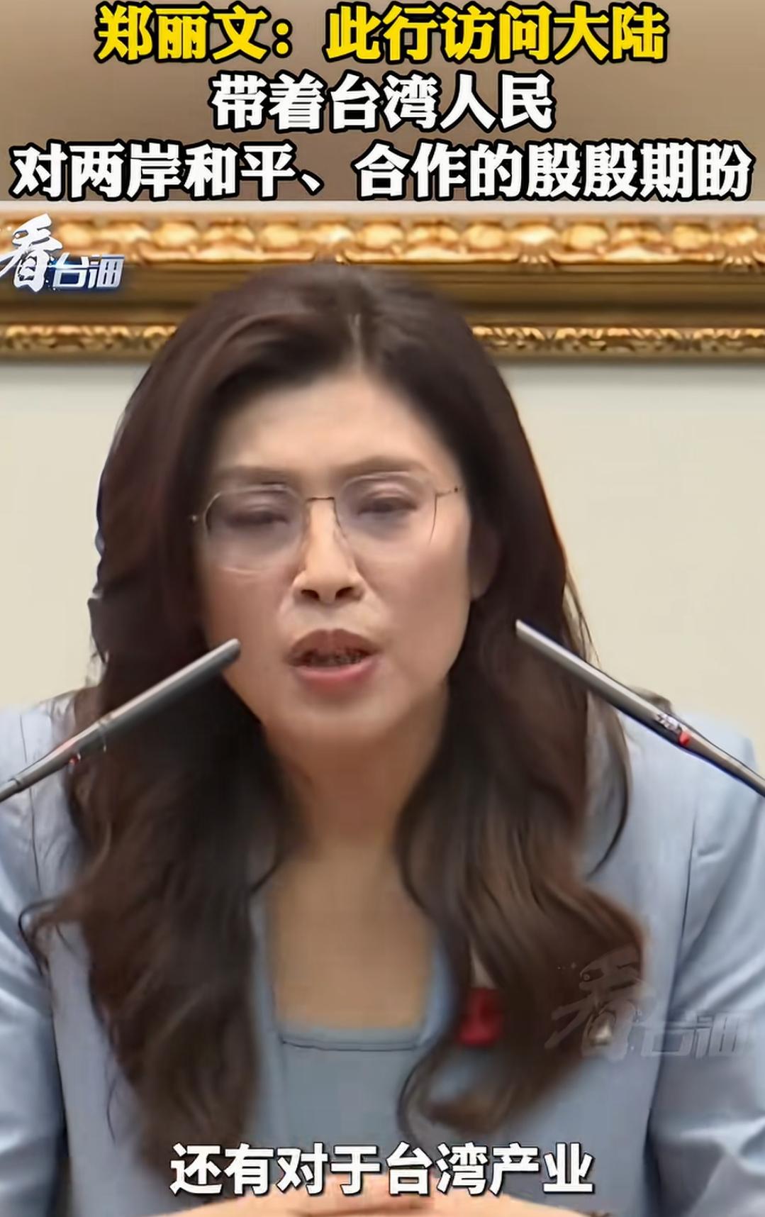 不太看好郑丽文！
不是她个人，而是整体的大环境，她只能代表一小部分人的想法，而且