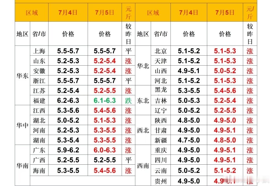 每日猪价 
