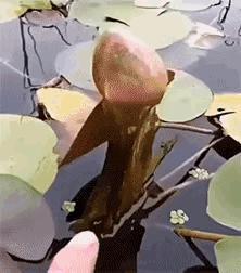 辣手摧花，花才会开？