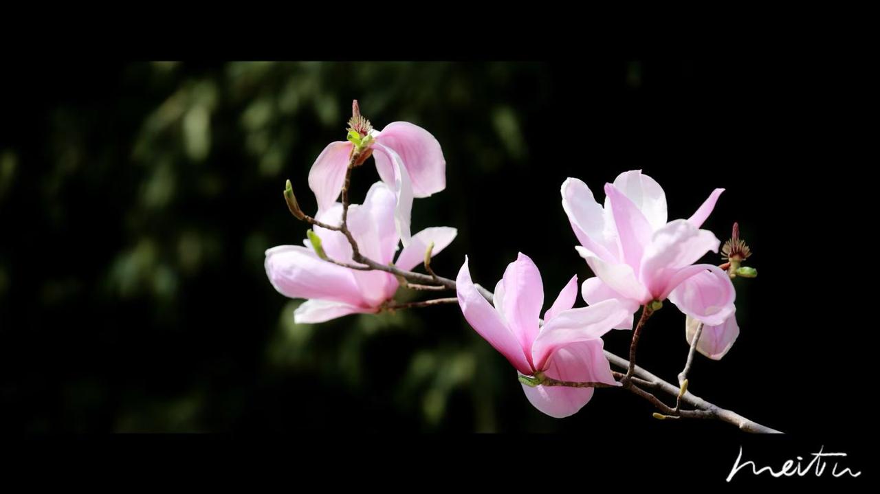 电视剧改名，主要是为了过审、换平台、避风险、蹭热度、改定位这五大原因。
 
1.