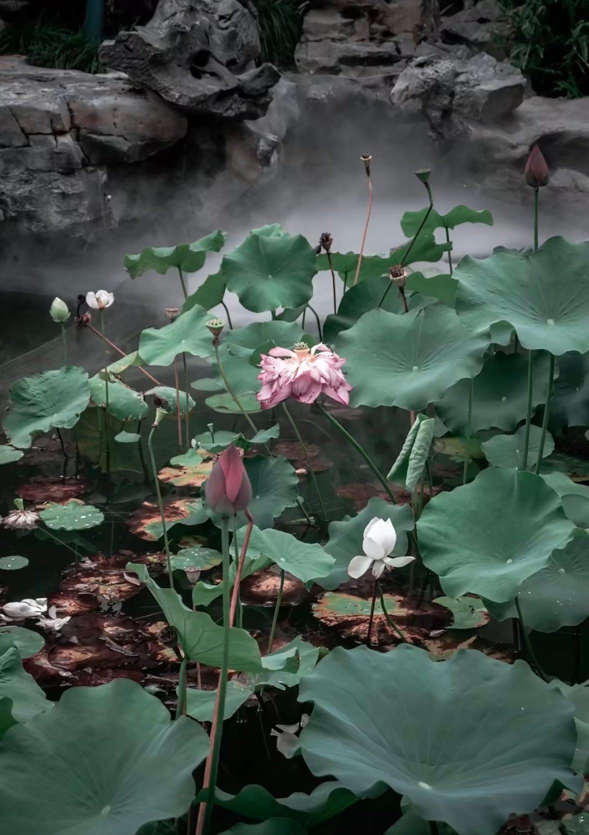 很喜欢《繁花》里的一段话：“我们都是挣点小钱的普通人，所以，很多事情可以不用放在