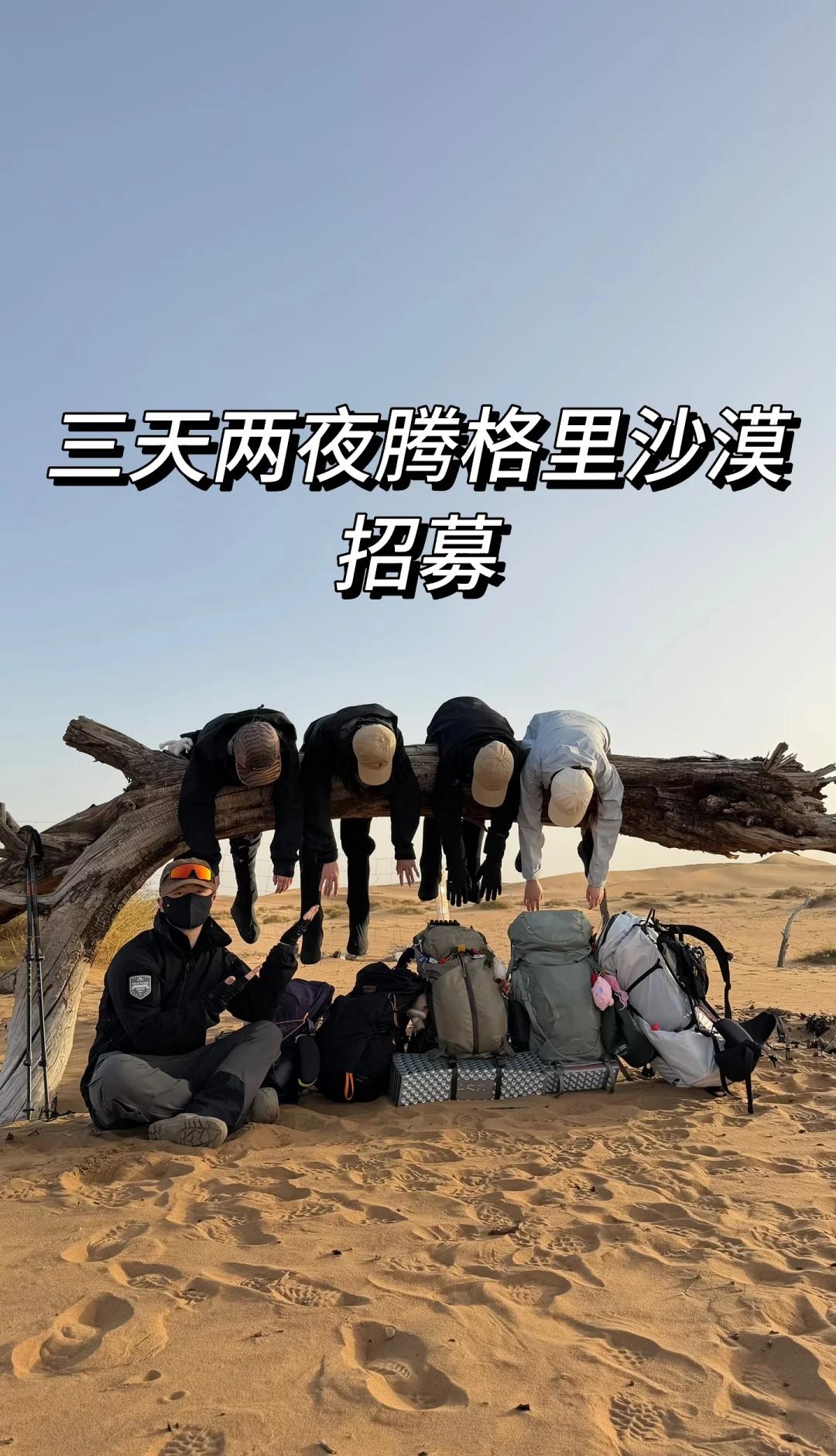 1. 第一天
◦ 行程：银川→梦想沙漠公路→天鹅湖。中午11:00集合出发，途经