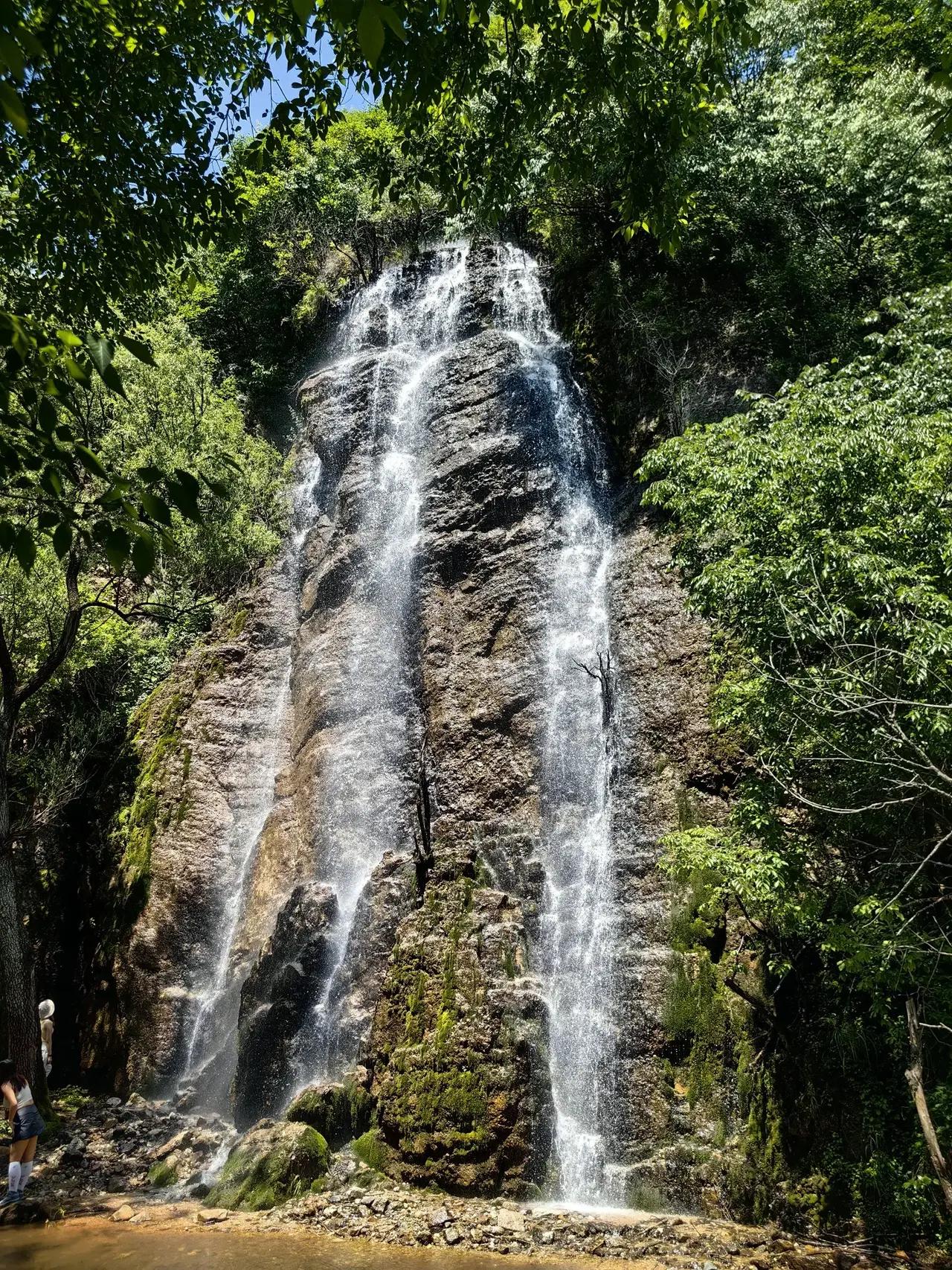 春天在哪里？原创诗歌 


在花园的枝叶里——


桃花燃着粉霞，梨花堆着雪团，