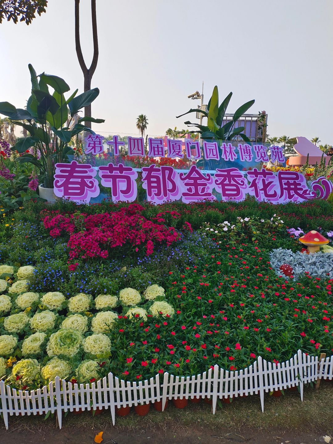 集美风向标——西亭