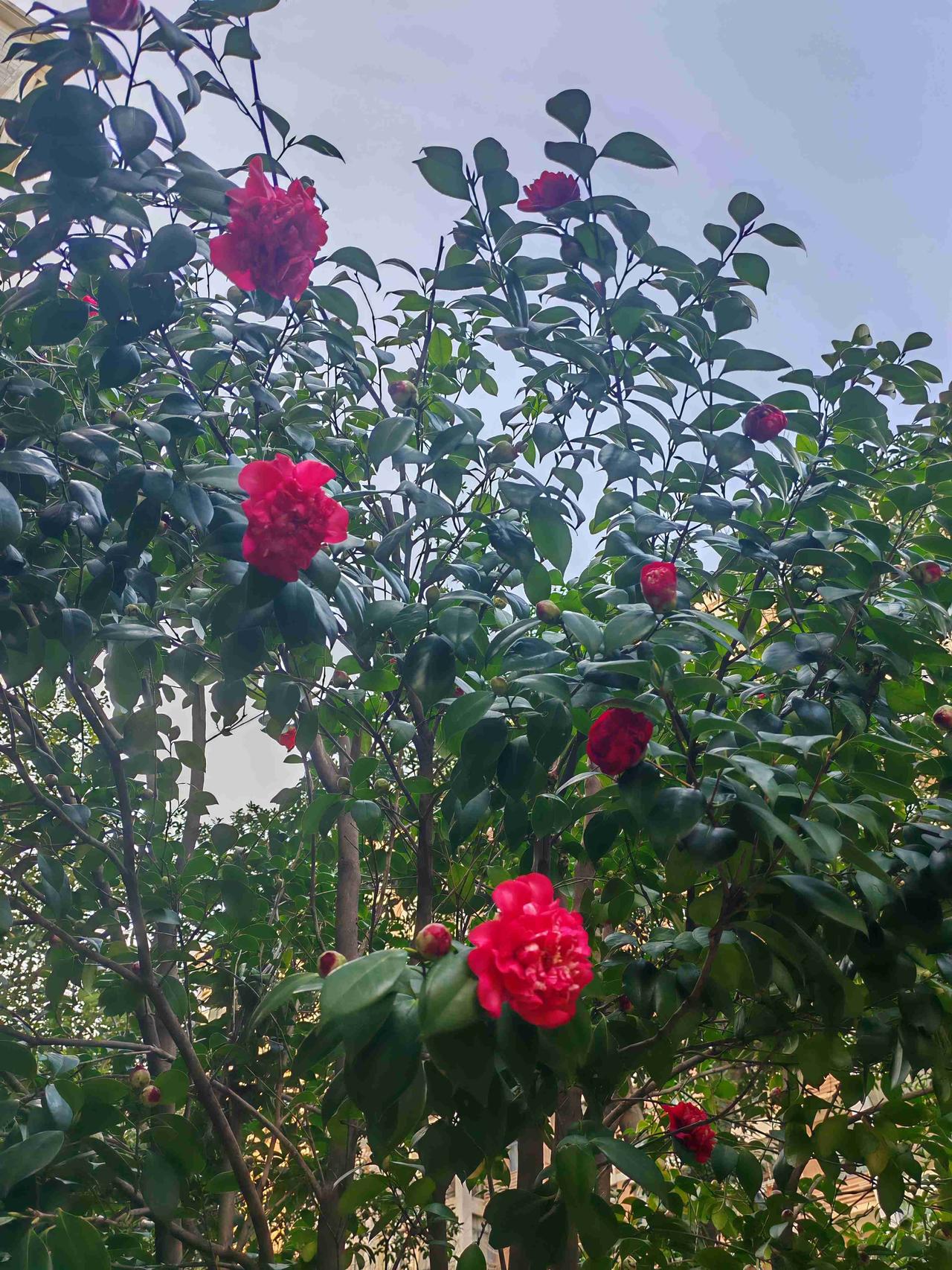 我的今日状态：😁轻松愉快
我这里的天气：☀️晴天