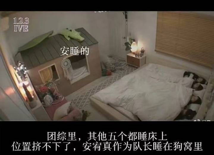 我看到安宥真睡狗窝还是会笑得笔筒。 ​​​