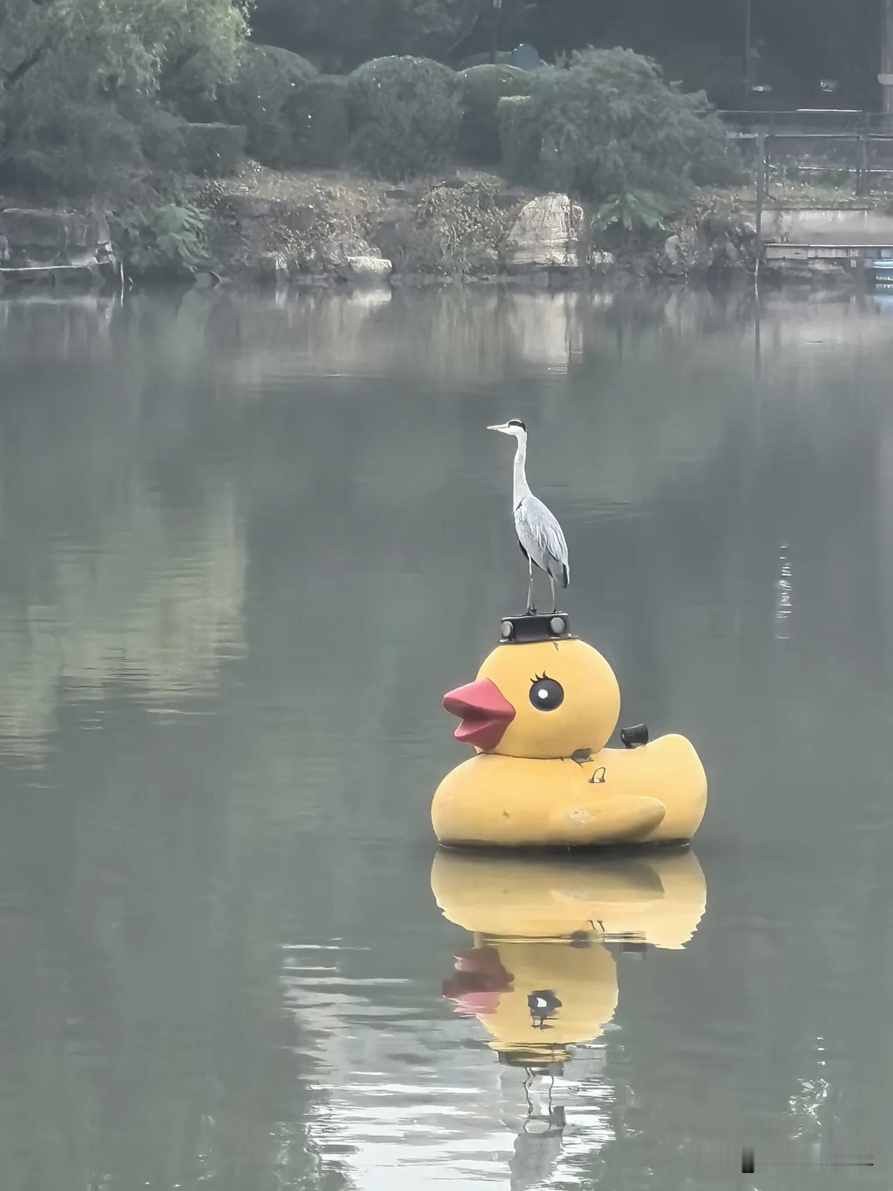 叠加态！