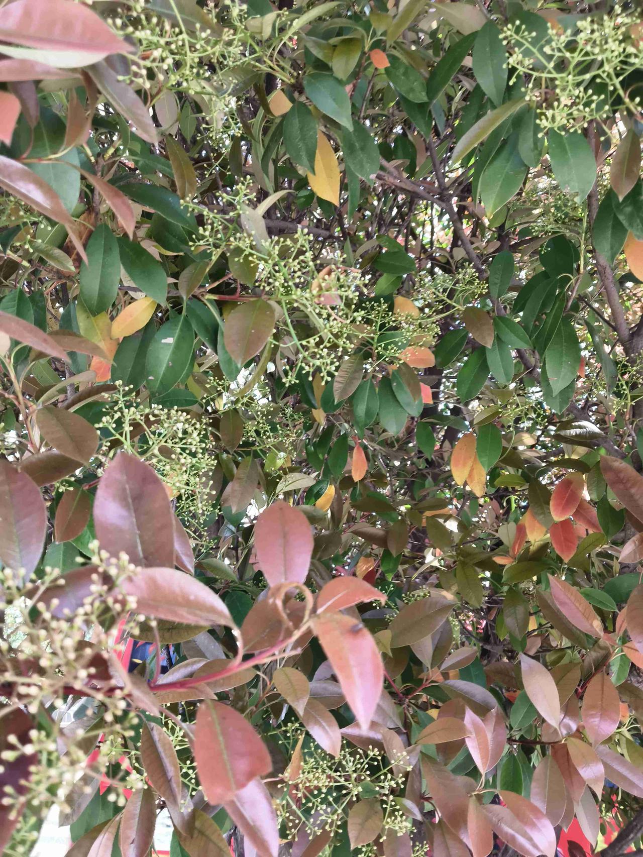 我的今日状态：😁轻松愉快
我这里的天气：☀️晴天