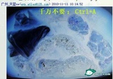 浙里畅线