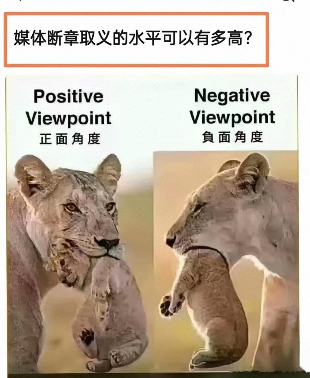 最近在看《新闻女王2》这一季主要讲了网媒，自媒体和传统媒体，在新时代各自起到的作