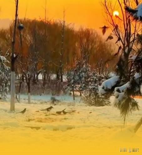 悦己方为人生底色
 
讨好别人累断腰，讨好自己只需弯弯嘴角。年龄不过是日历上的数