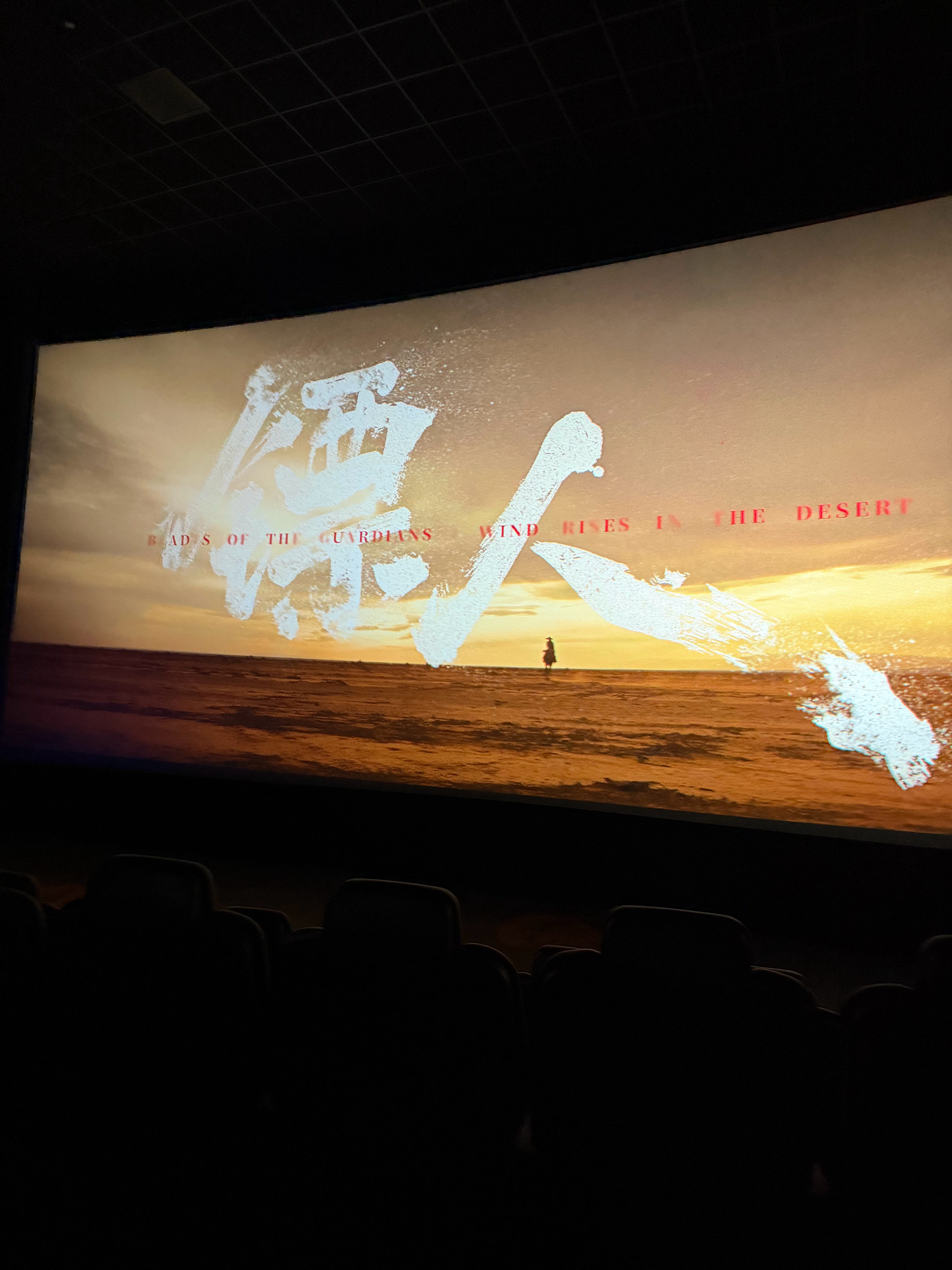 世界第一保镖和世界第二保镖大战邪恶势力并成功营救女主的故事，非常好看，尤其是于适