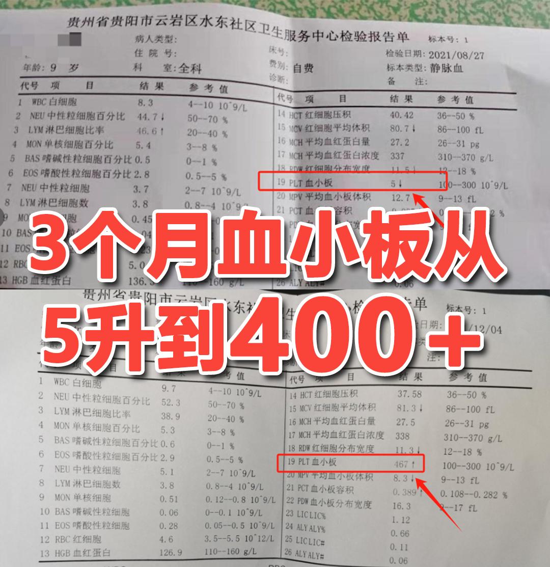血小板减少症，调理三四个月 从5 升到 400+，小朋友已经恢复正常！...