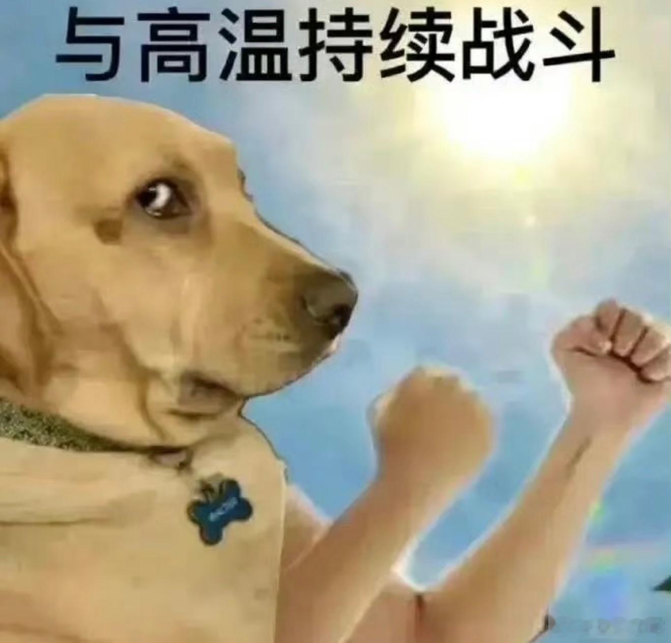 超级三伏天 早就知道入伏之后天气会更热，没想到现在还没到最热的时候。不过还是享受