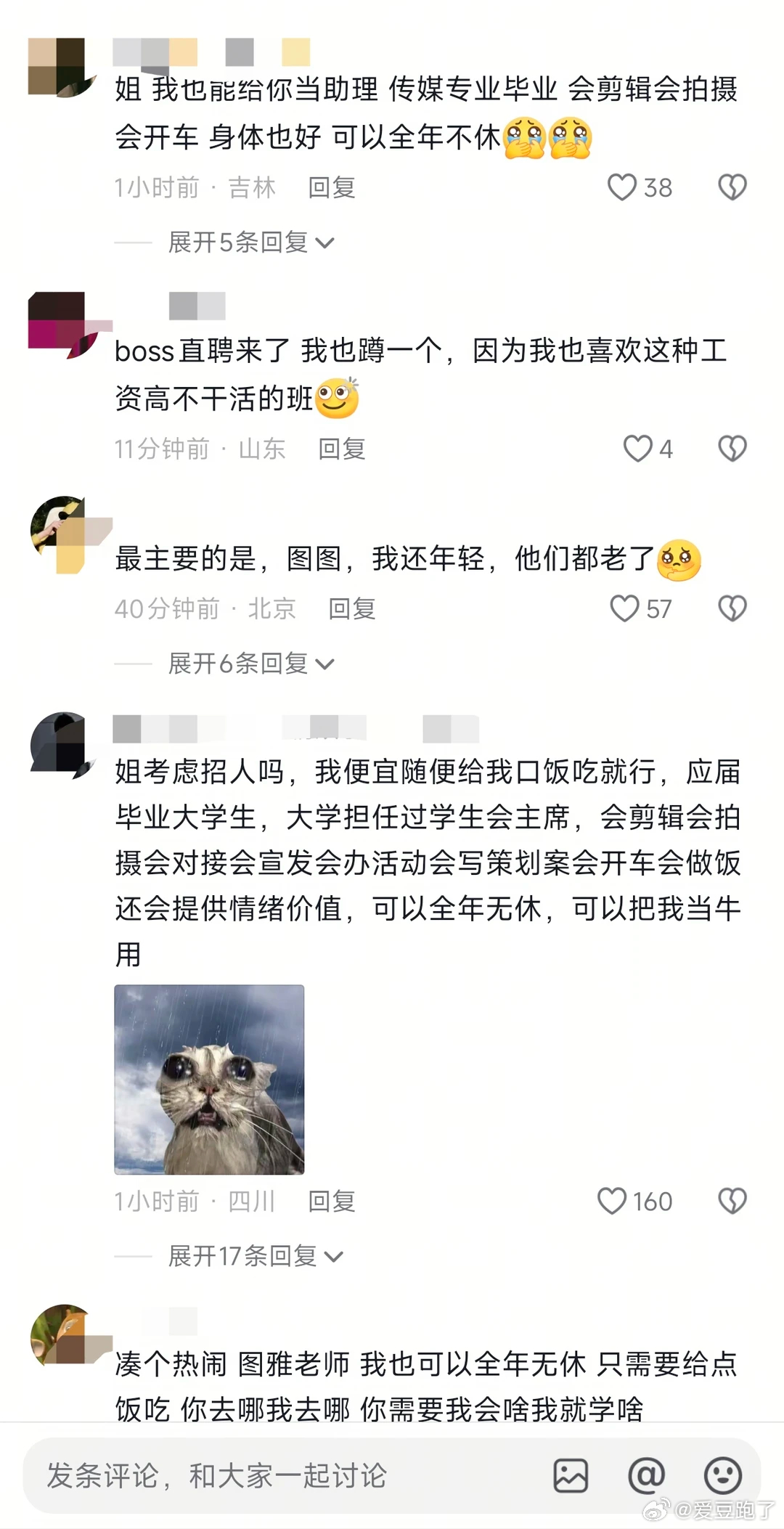离了这个小涂鸦谁还能让我笑从评论区沦陷为BOSS直聘现场到误设封面我真的笑鼠了乌