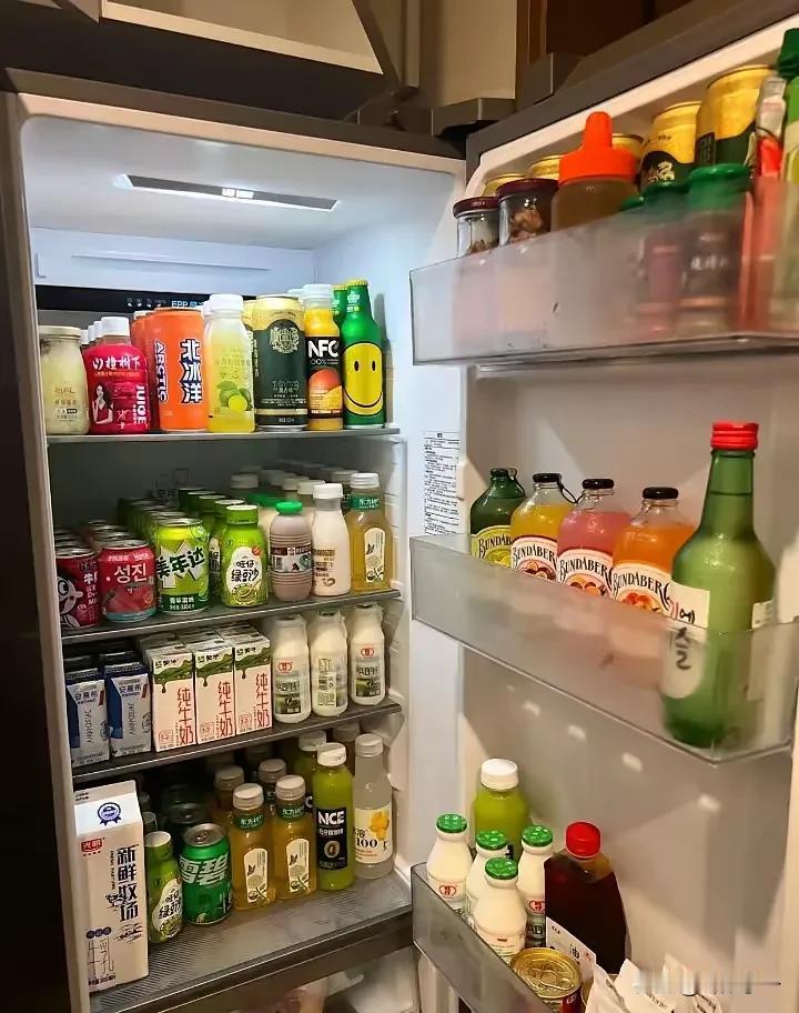年轻人的冰箱就应该是这样的