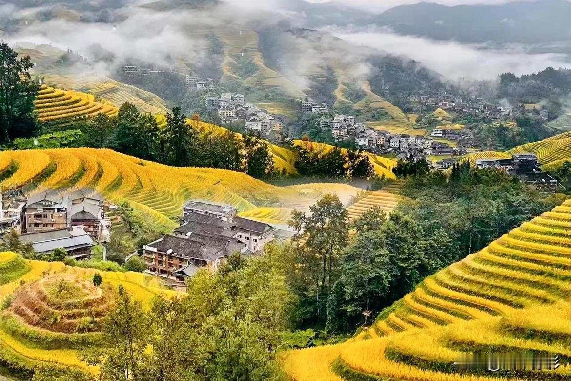 又到一年秋收季，也到了梯田最美的时候。
