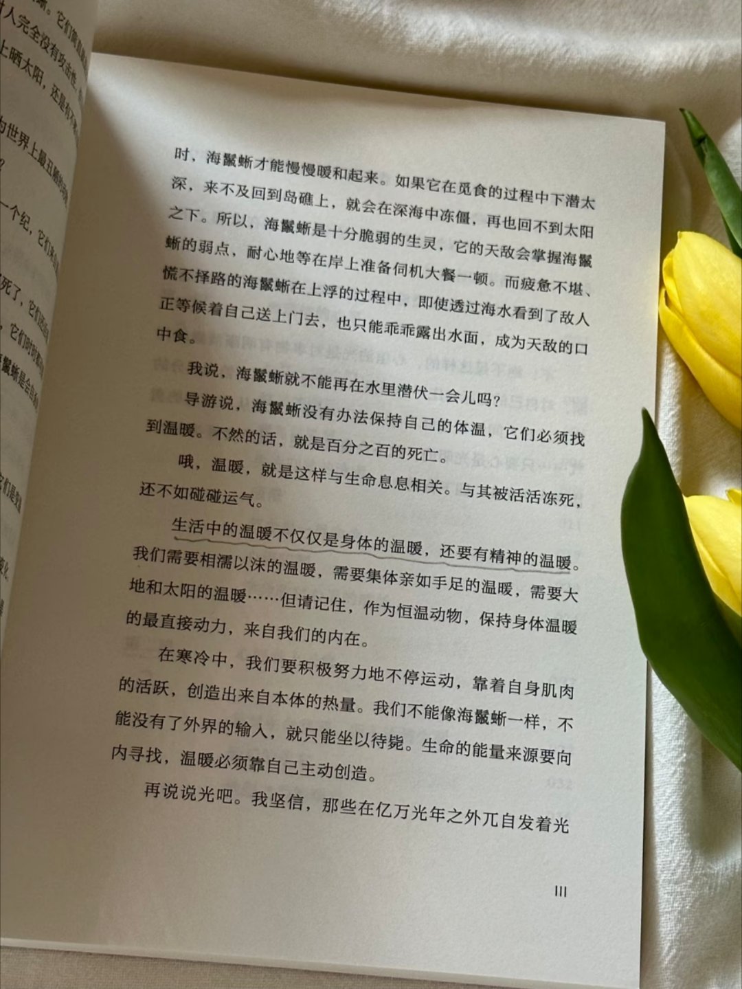 一眼沦陷！！这本书真的太太太治愈了 