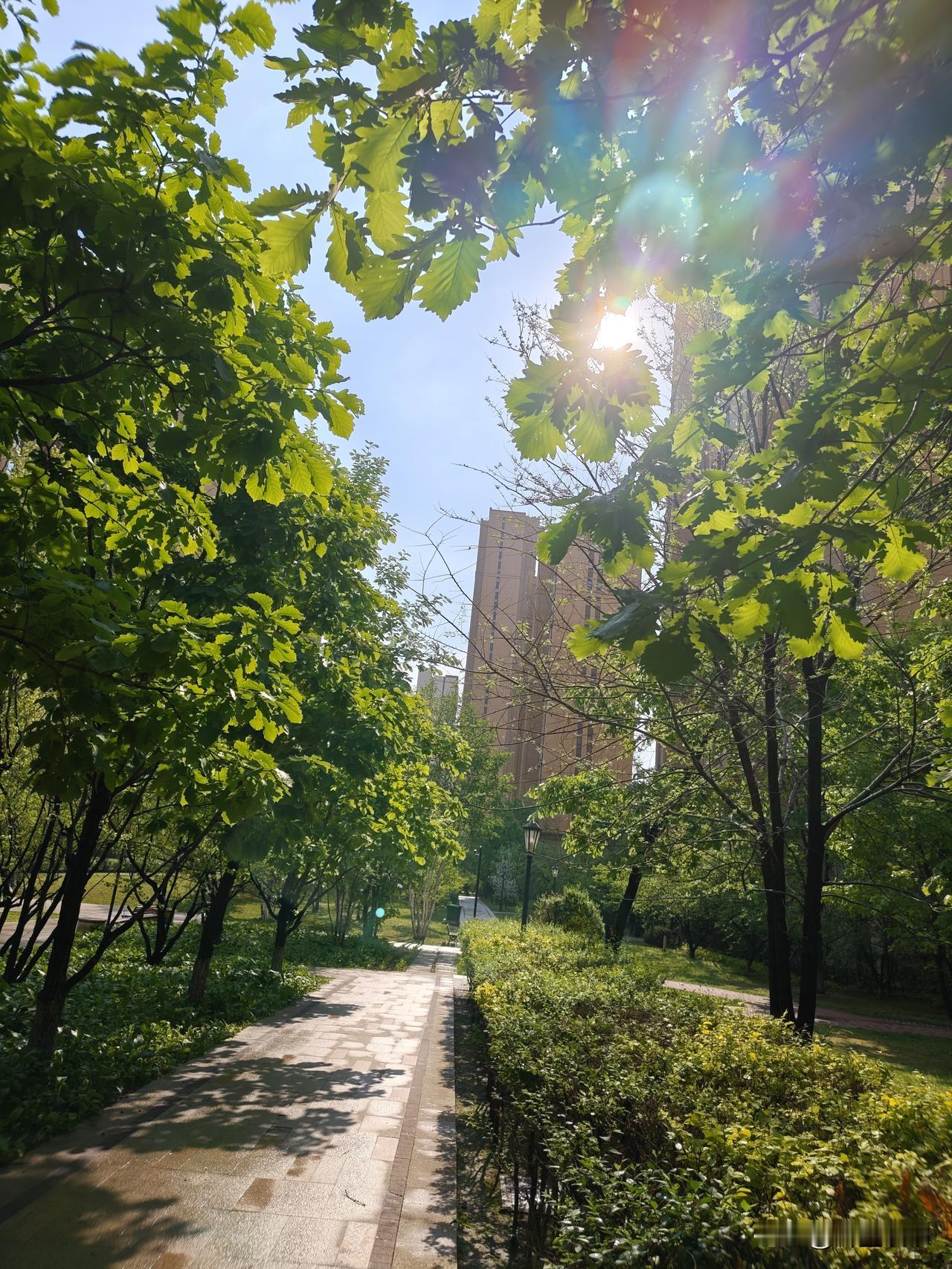 人生三大忌：
心太软，嘴太直，沉不住。
心软受累，
嘴直惹怨，性急吃亏！