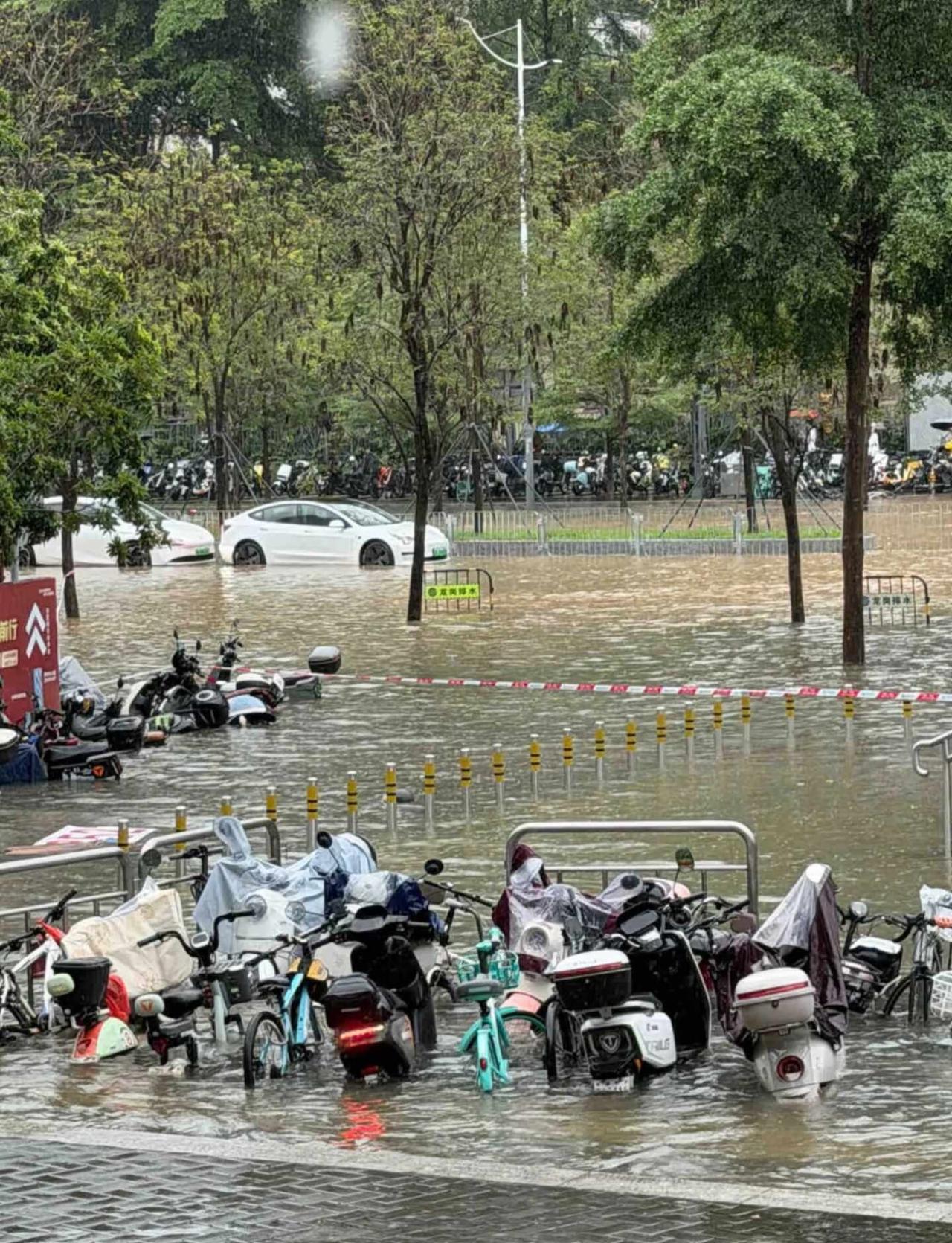 龙岗今天的雨☔️把这大半年的都下完了吗暴雨 这雨越下越大下个不停 洪水 大雨 下