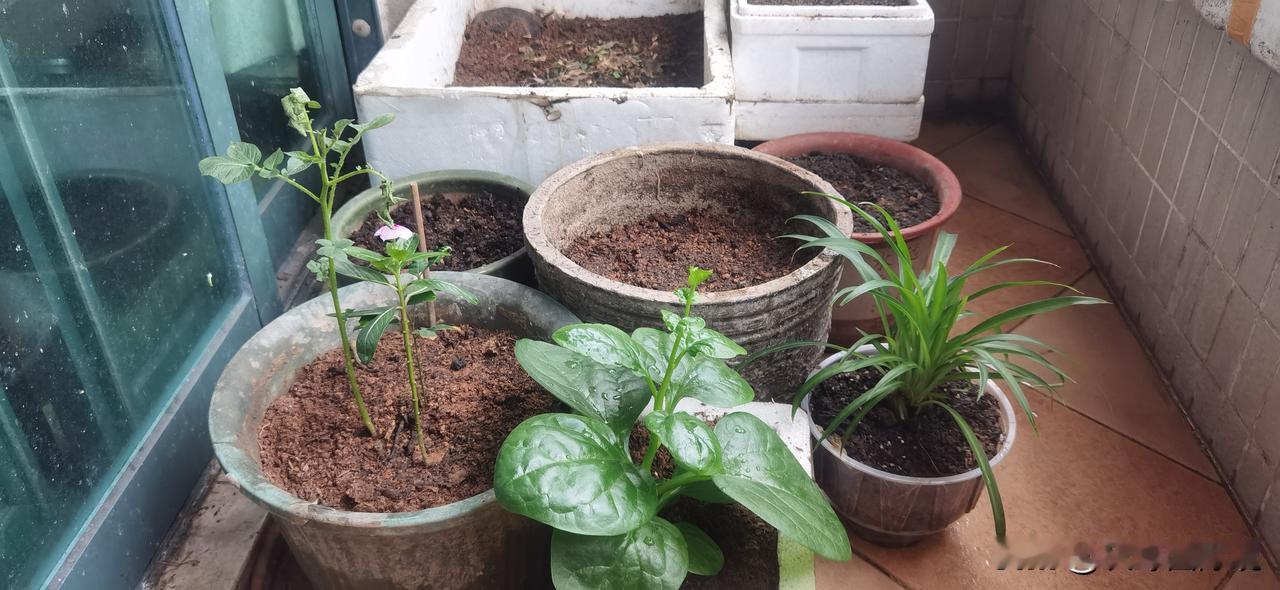 肯定支持的。
便于联系孩子，关注孩子动态。
人手一个也带动了这个产业的发展。
也