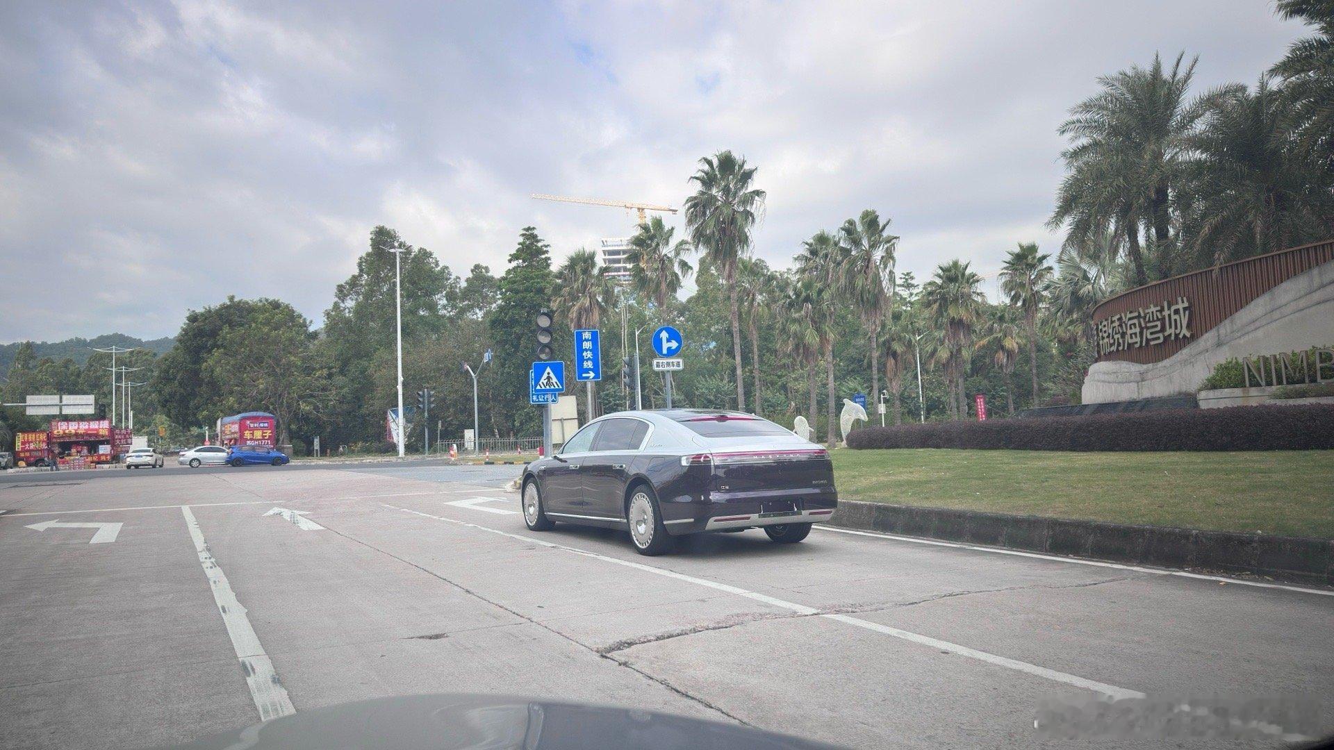 选装电子后视镜尊界S800挺少见的大v聊车