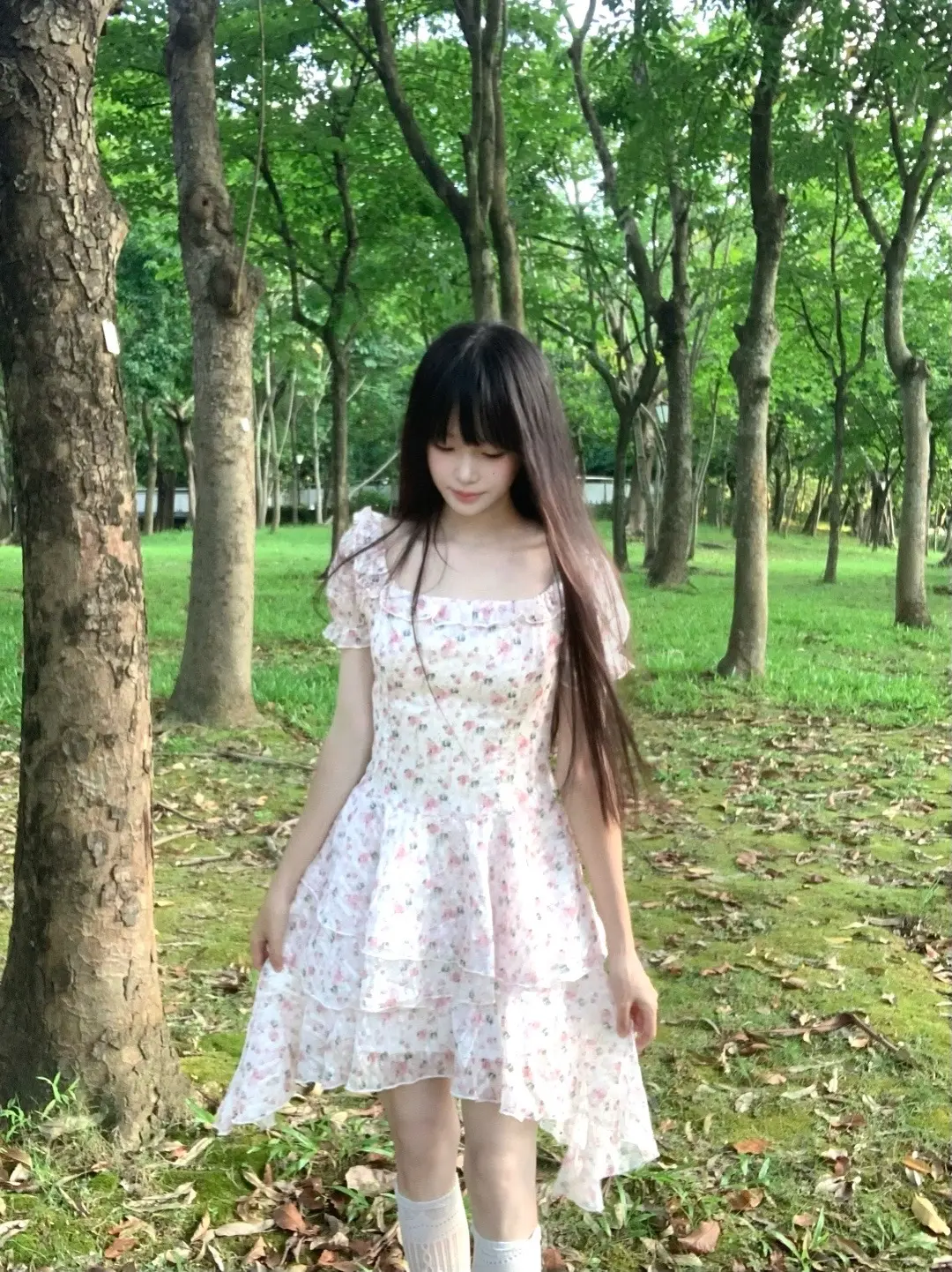 我们的感情就在风树中碰撞