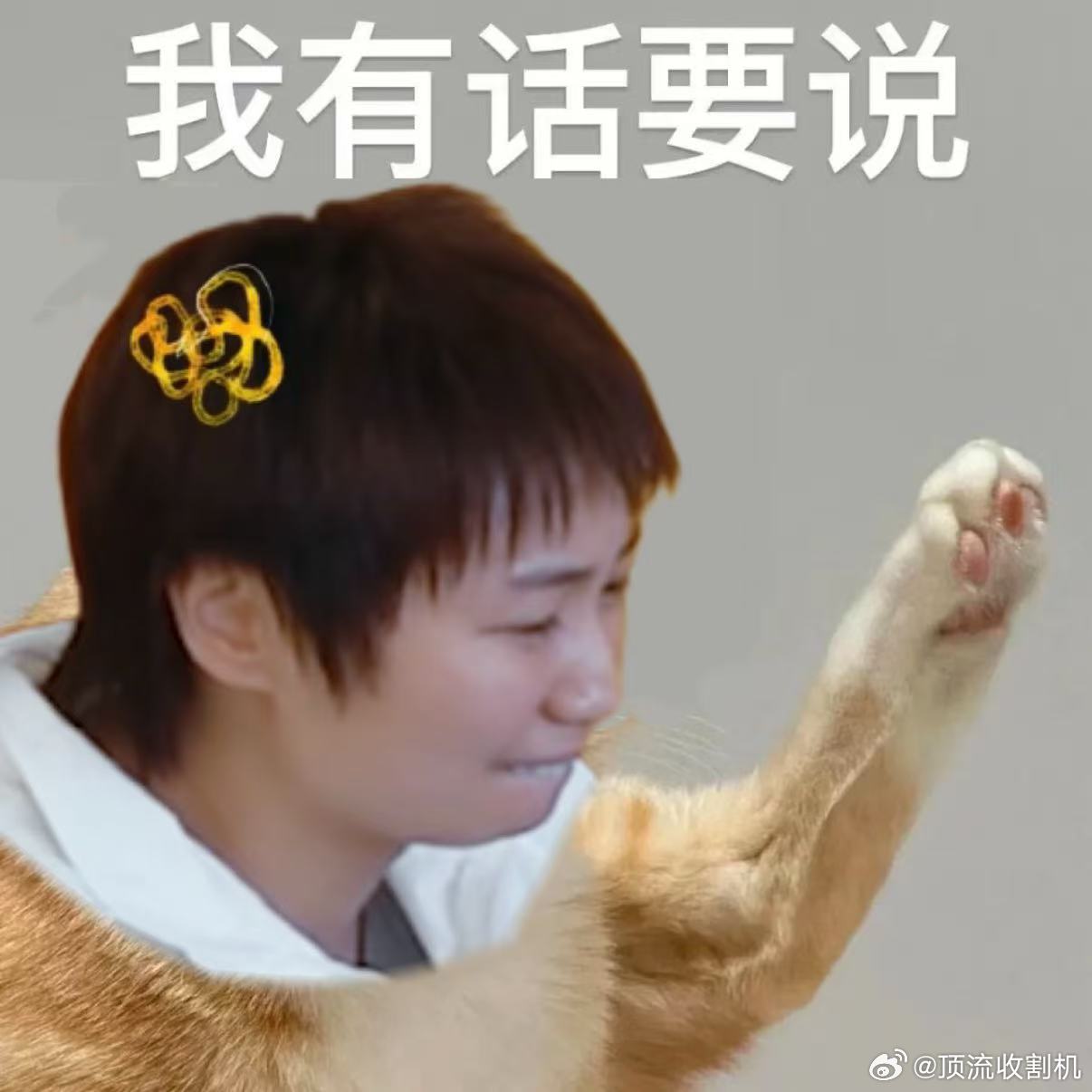 想把薛甄珠的嘴借给小鹿姐姐当家 小鹿带娃笑死我了！俩侄女聊天她完全插不上嘴，像个