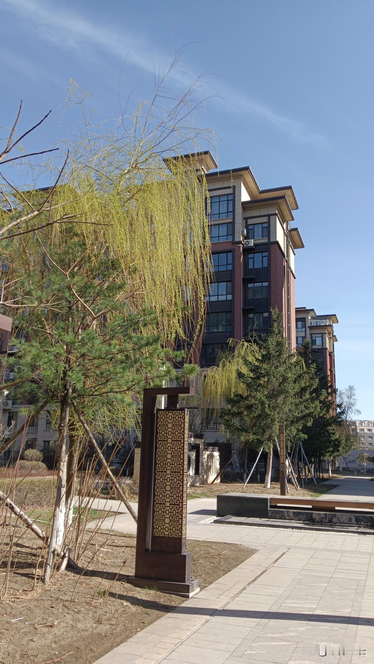 唯有垂柳最善于表达北国之春的意境。